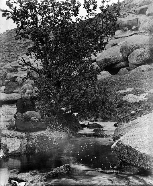 crw_2948.jpg