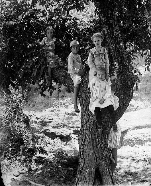 crw_2964.jpg