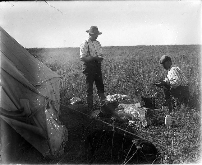 crw_2977.jpg