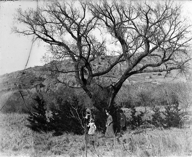 crw_2996.jpg