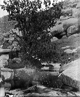 crw_2948