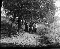 crw_2968