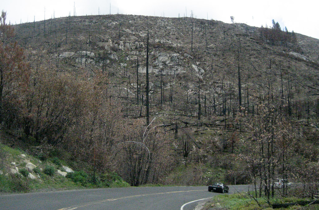 Hwy 120