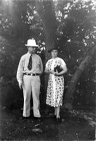 arnett-hollis-claire-tree