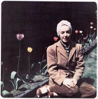 arnett-sandra-tulips