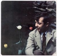arnett-van-tulips