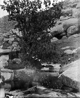 crw_2948