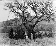 crw_2996