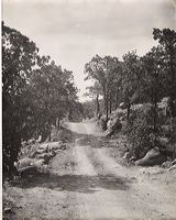 vandyke-bf-road