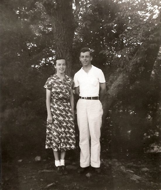 arnett-sandra-van-tree.jpg