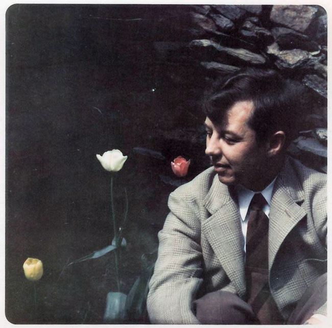 arnett-van-tulips.jpg