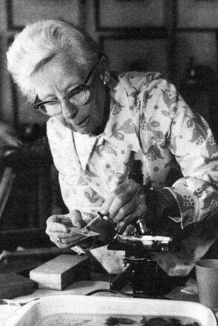leake-dorothy_1.jpg