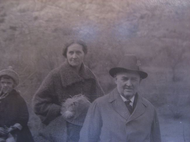 weidlein-emma-volley.jpg