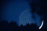 img_8252a