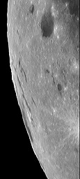 crw_4106_orientale