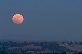 crw_0895a