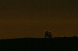 dishmoonrise
