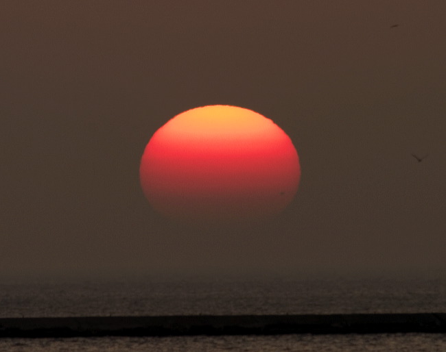 crw_1048a.jpg
