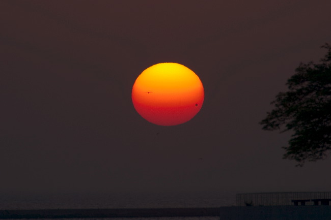 crw_1058.jpg
