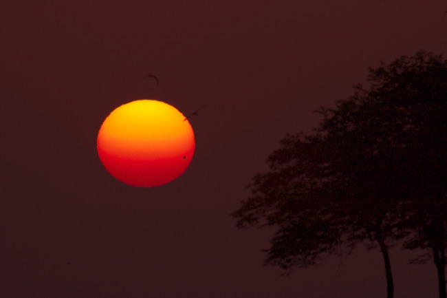 crw_1063.jpg
