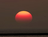crw_1048a