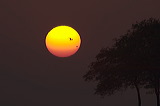 crw_1069b